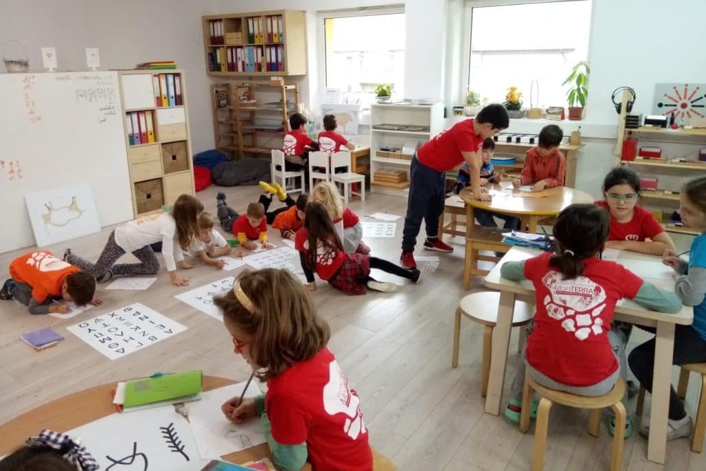 Educația individualizată în mediul Montessori