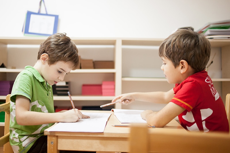 8 principii Montessori validate științific (III)