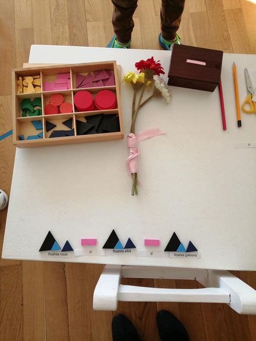 Exploratorii limbajului. gramatica