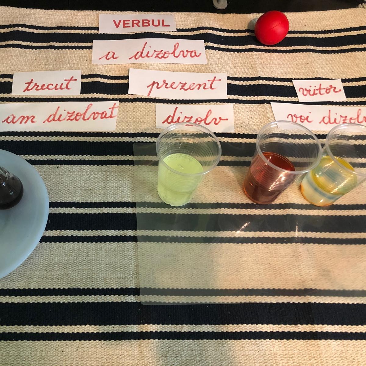 Exploratorii limbajului. gramatica