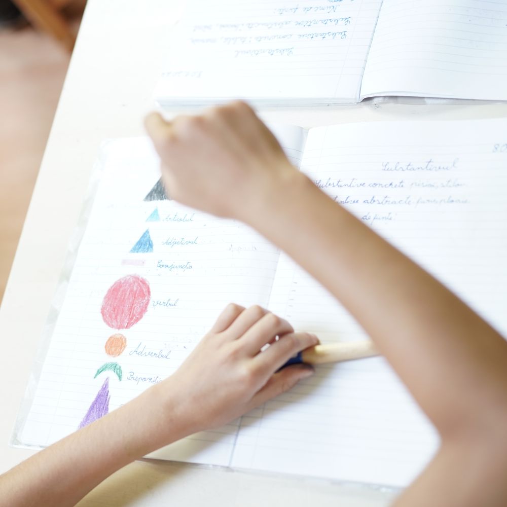 Exploratorii limbajului. gramatica